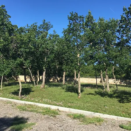 Park za odmor Micanovi Dvori Mobile Village Zrmanja 4*